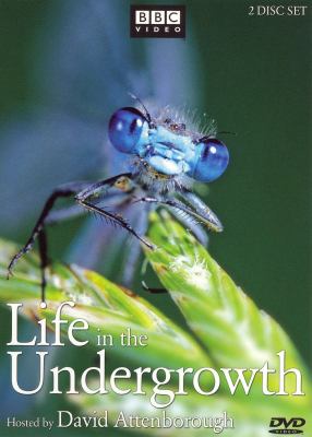 Life in the undergrowth cover image