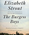 The Burgess boys cover image