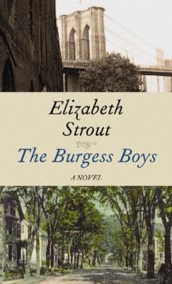 The Burgess boys cover image