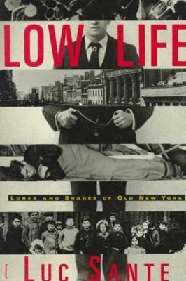 Low life : lures and snares of old New York  cover image cdn