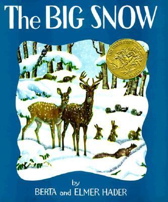 The big snow  cover image cdn