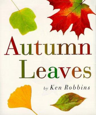 Autumn leaves  cover image cdn