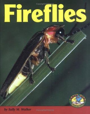 Fireflies  cover image cdn