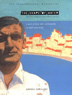 The shape of water  cover image cdn