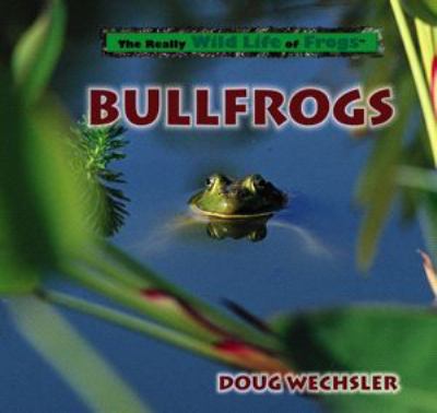 Bullfrogs cover image