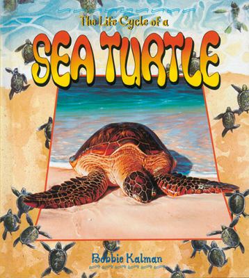 The life cycle of a sea turtle  cover image cdn