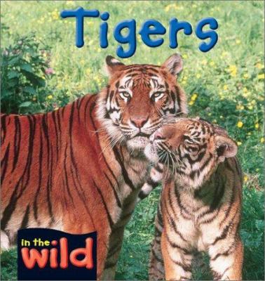 Tigers  cover image cdn