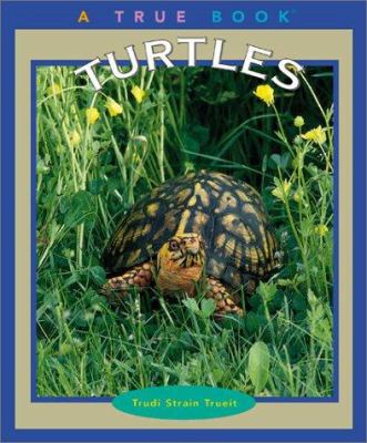 Turtles  cover image cdn