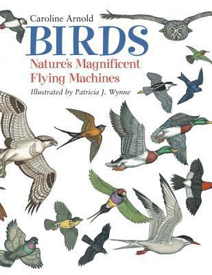 Birds : nature's magnificent flying machines  cover image cdn