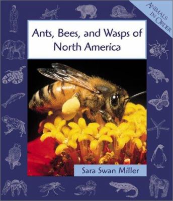 Ants, bees, and wasps of North America  cover image cdn