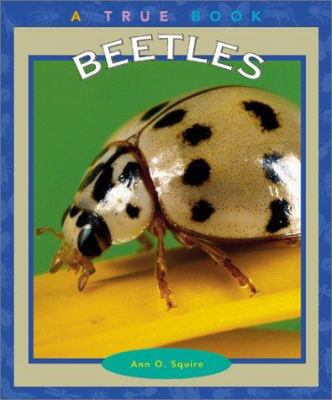 Beetles  cover image cdn