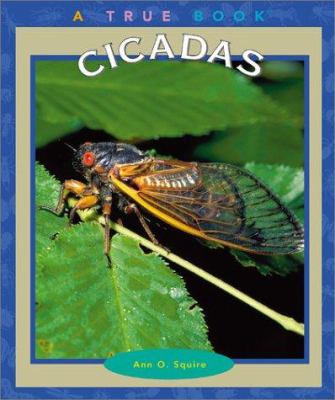 Cicadas cover image