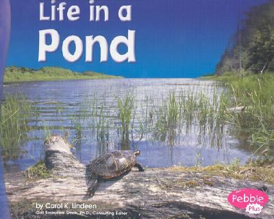 Life in a pond  cover image cdn