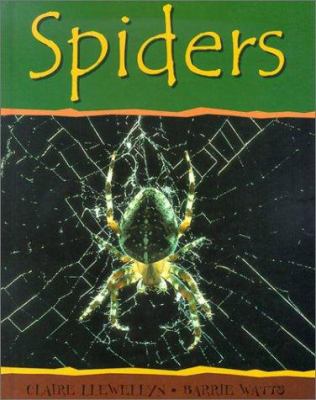 Spiders  cover image cdn