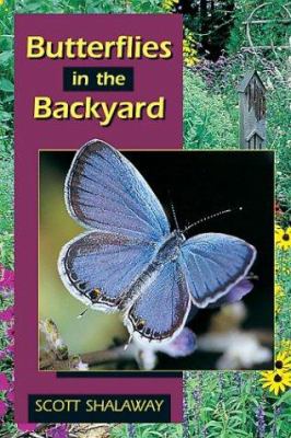 Butterflies in the backyard  cover image cdn