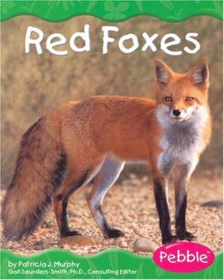 Red foxes  cover image cdn