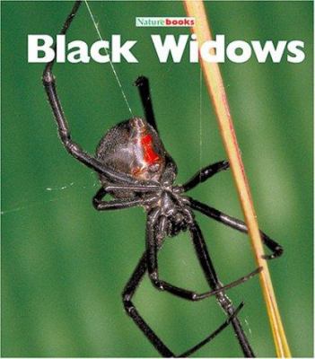 Black widows  cover image cdn