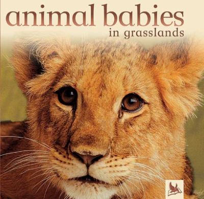 Animal babies in grasslands  cover image cdn