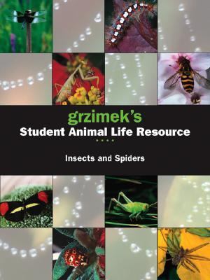 Insects and spiders cover image
