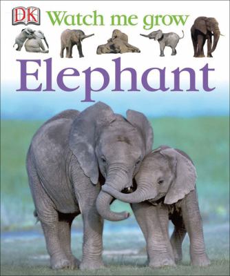 Elephant  cover image cdn