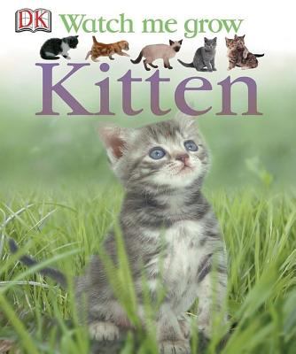 Kitten  cover image cdn