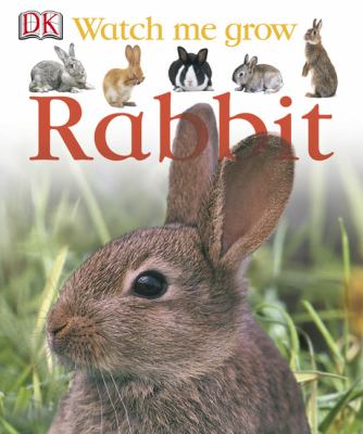 Rabbit  cover image cdn