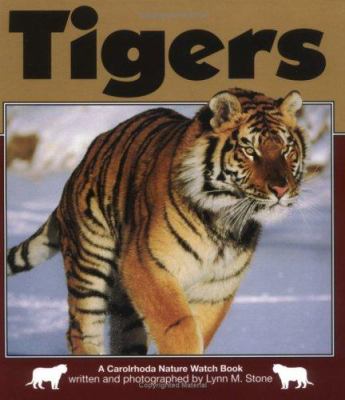 Tigers  cover image cdn
