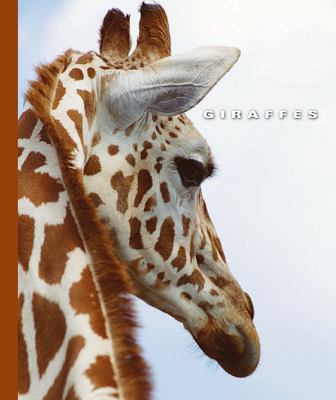 Giraffes  cover image cdn