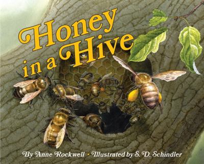 Honey in a hive  cover image cdn
