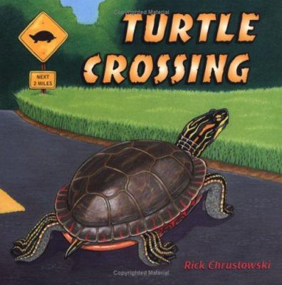 Turtle crossing  cover image cdn