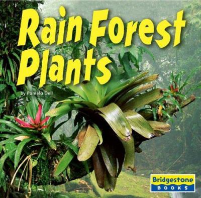 Rain forest plants  cover image cdn