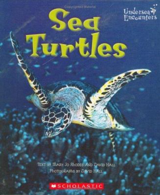 Sea turtles cover image