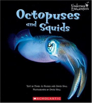 Octopuses and squids  cover image cdn