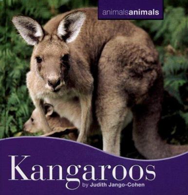 Kangaroos  cover image cdn