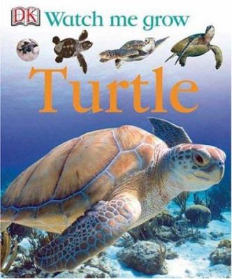 Turtle  cover image cdn
