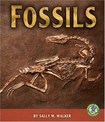 Fossils  cover image cdn
