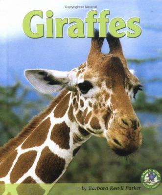 Giraffes  cover image cdn