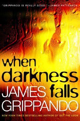 When darkness falls  cover image cdn