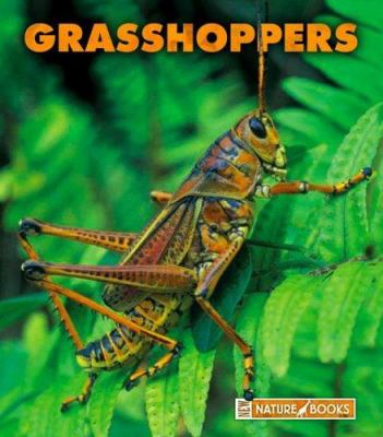 Grasshoppers  cover image cdn