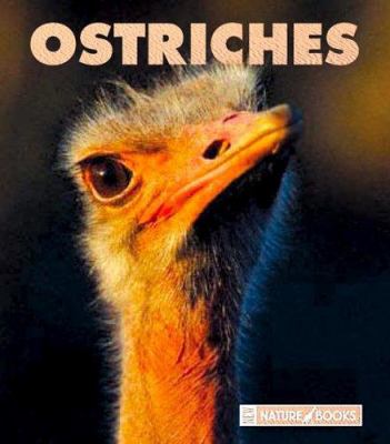 Ostriches  cover image cdn