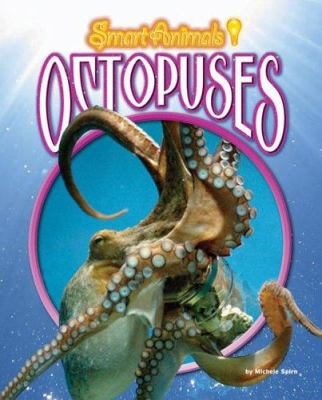 Octopuses  cover image cdn