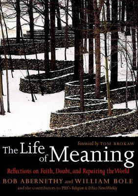 The life of meaning : reflections on faith, doubt, and repairing the world  cover image cdn