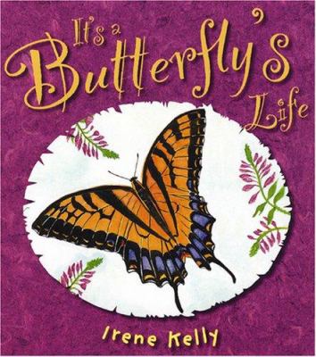 It's a butterfly's life  cover image cdn
