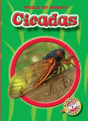 Cicadas  cover image cdn