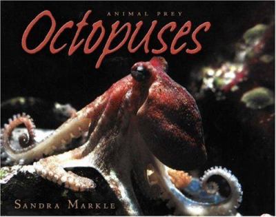 Octopuses  cover image cdn