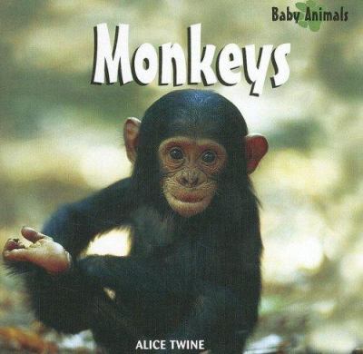 Monkeys  cover image cdn
