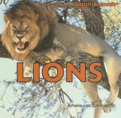 Lions  cover image cdn