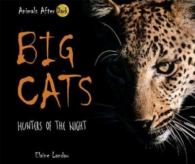 Big cats : hunters of the night  cover image cdn