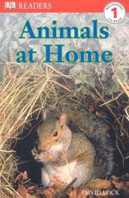 Animals at home  cover image cdn