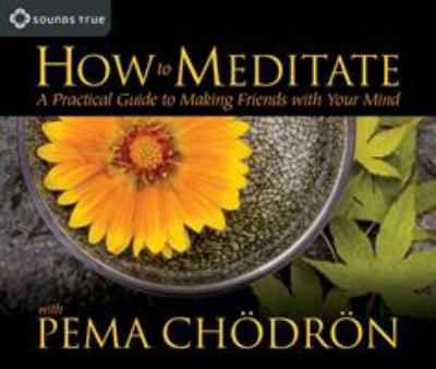 How to meditate [a practical guide to making friends with your mind]  cover image cdn